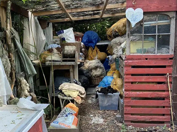 Got Junk NYC? Debunking Myths About Summer Junk Removal